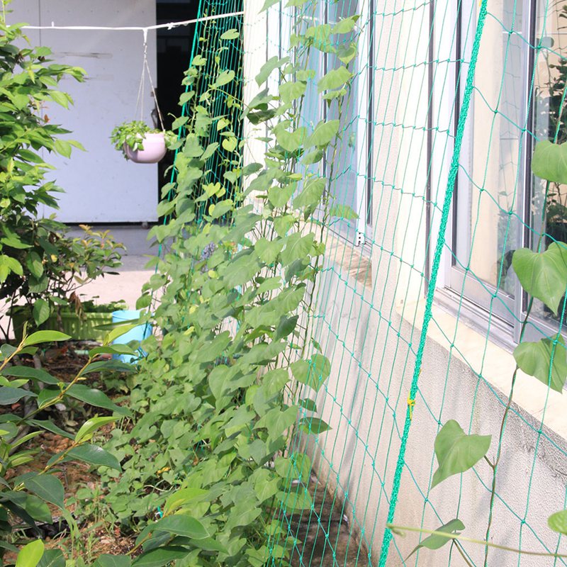 Garden Plants Climbing Net