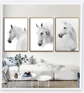 Nordic White Horse Paintings