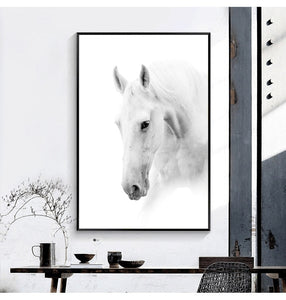 Nordic White Horse Paintings