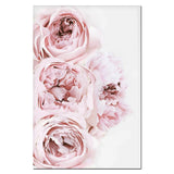 Pink Peony Flower Painting