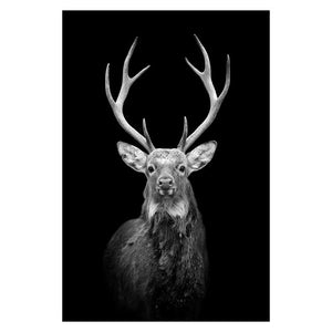 Animal Wall Paintings