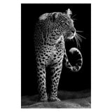 Animal Wall Paintings