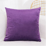 Velvet Cushion Cover