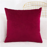 Velvet Cushion Cover