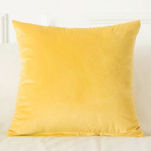 Velvet Cushion Cover