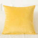 Velvet Cushion Cover
