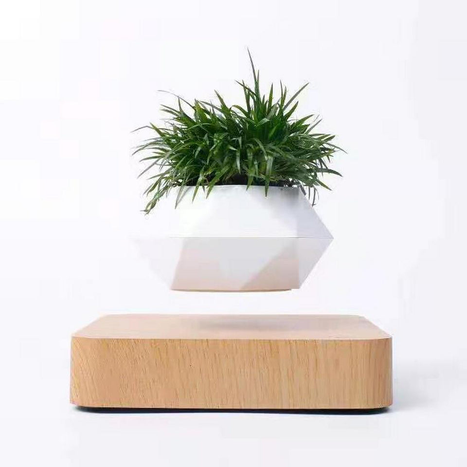 Magnetic Levitation Aerial Plants Pot