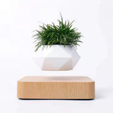Magnetic Levitation Aerial Plants Pot