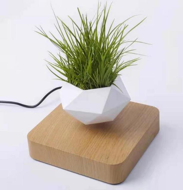 Magnetic Levitation Aerial Plants Pot