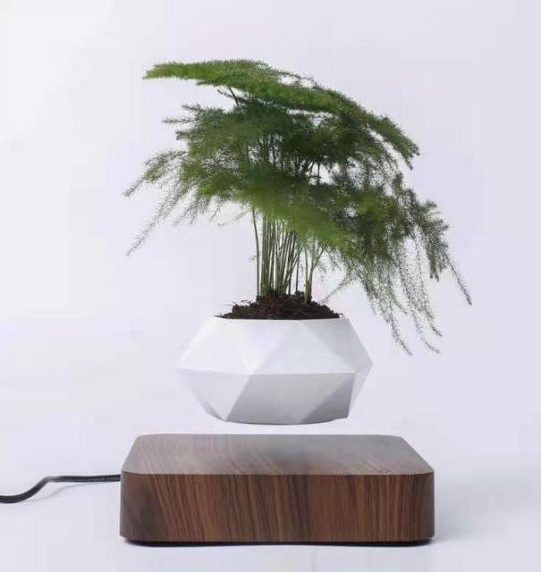 Magnetic Levitation Aerial Plants Pot